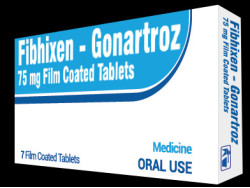 Fibhixen - Gonartroz